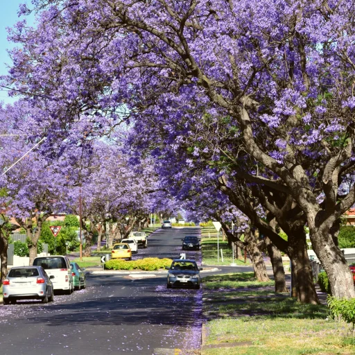 Adelaide - Australia - 002