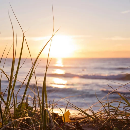 Gold Coast - Australia - 004